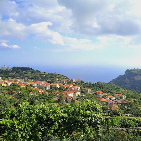 Вилла Agriturismo Il Castagno Аджерола Экстерьер фото