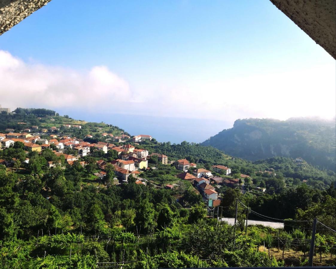 Вилла Agriturismo Il Castagno Аджерола Экстерьер фото