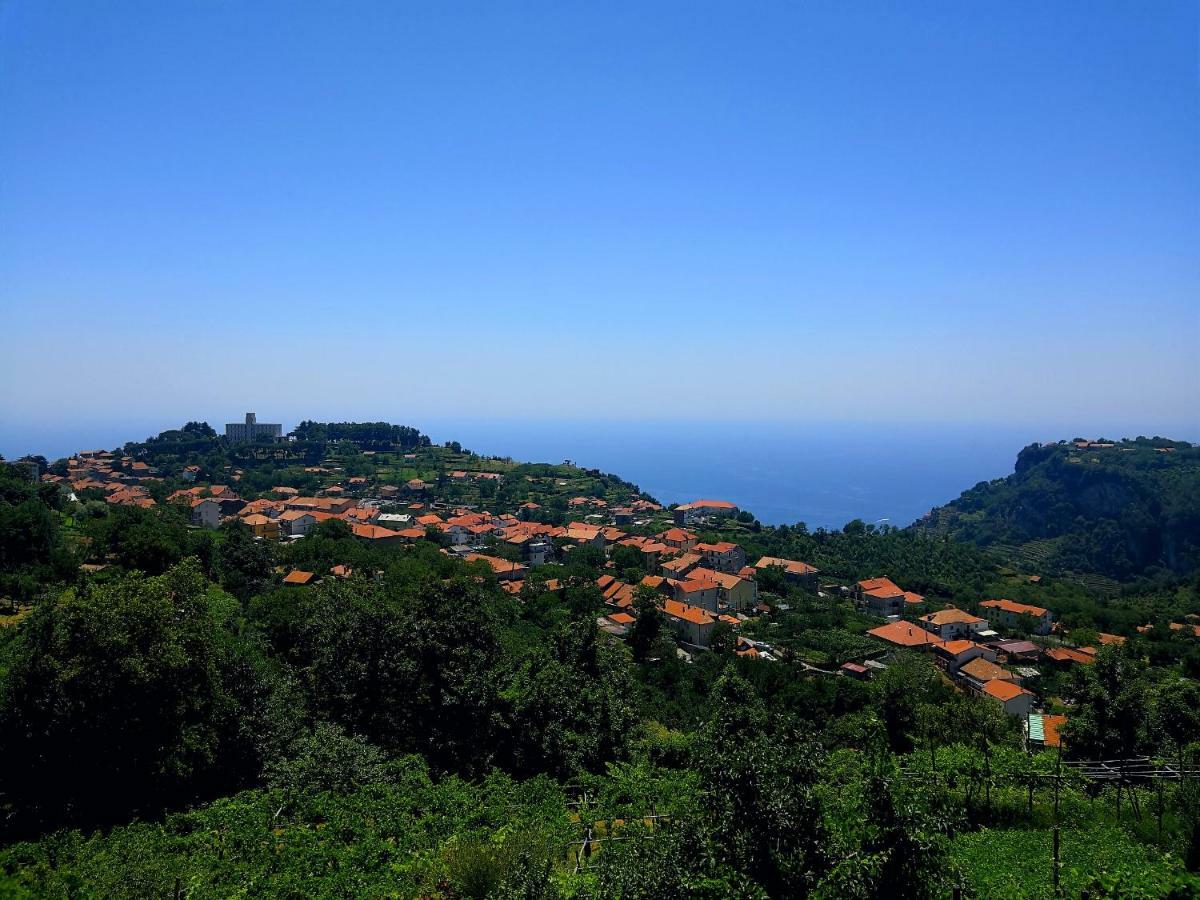Вилла Agriturismo Il Castagno Аджерола Экстерьер фото