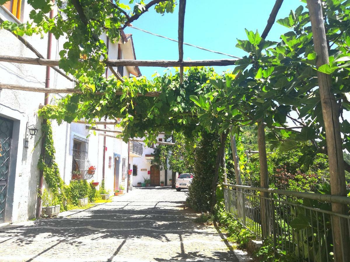 Вилла Agriturismo Il Castagno Аджерола Экстерьер фото