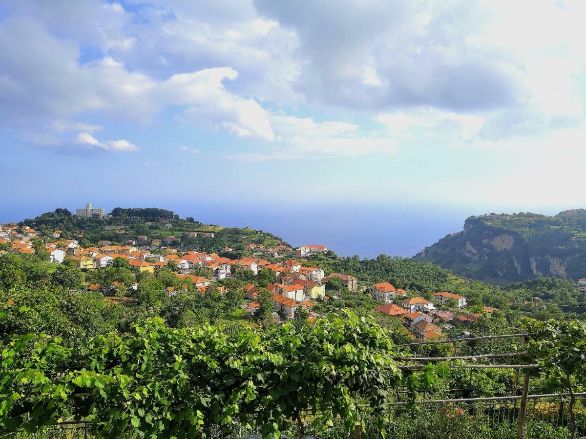 Вилла Agriturismo Il Castagno Аджерола Экстерьер фото