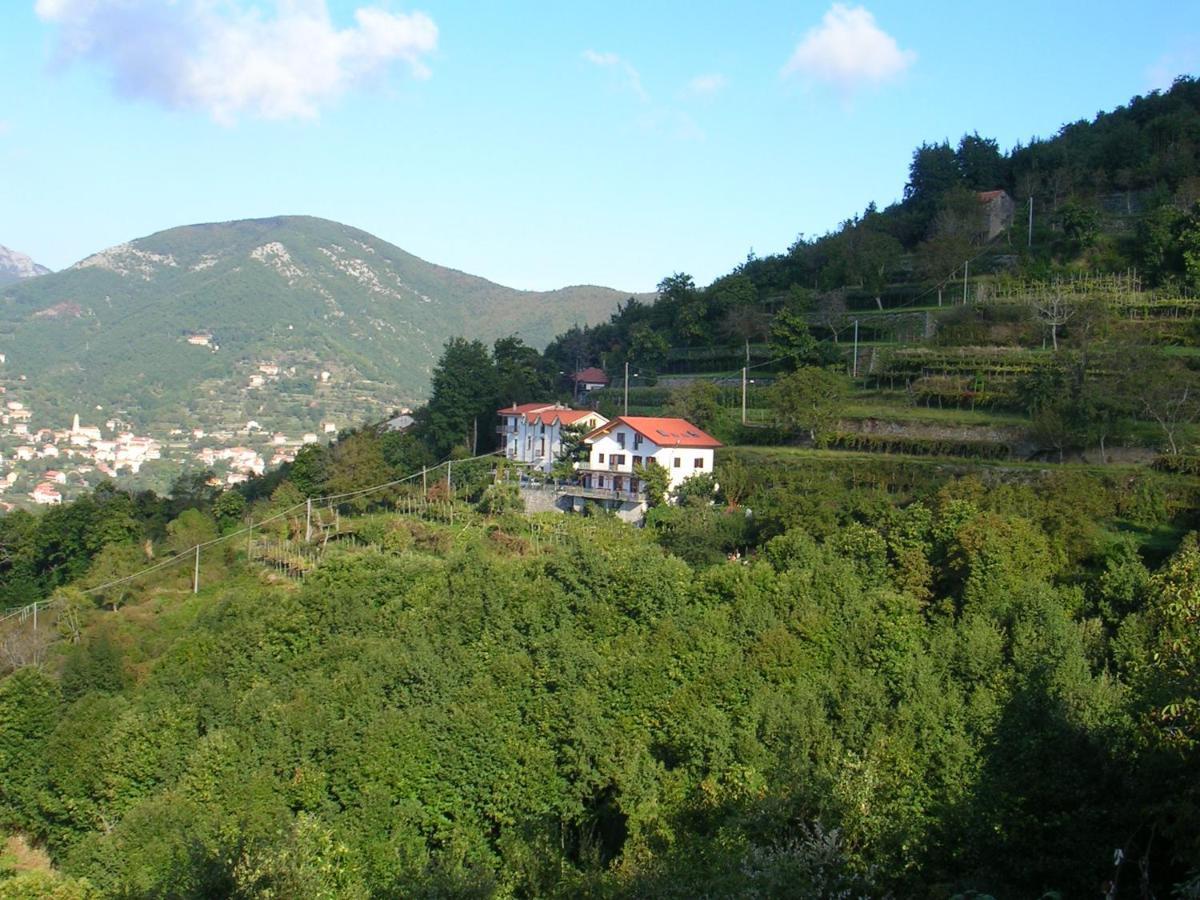Вилла Agriturismo Il Castagno Аджерола Экстерьер фото